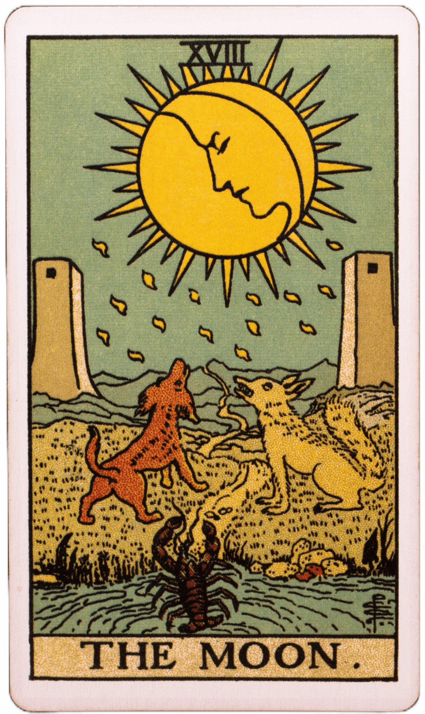 Tarot card